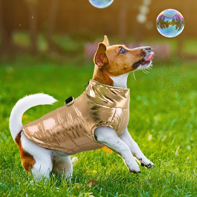 Chic Waterproof Puffer Dog Vest - Southlake Paws