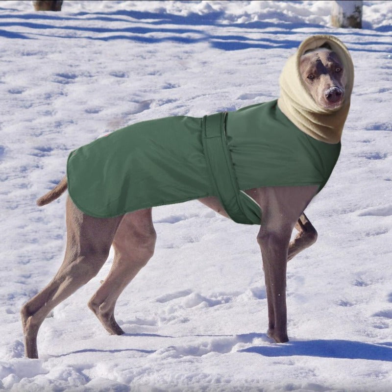 Waterproof Fleece Greyhound & Large Dog Coat - Southlake Paws