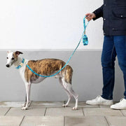 Floral Dog Collar & Leash Set With Matching Poop Bag Case | Personalized Free