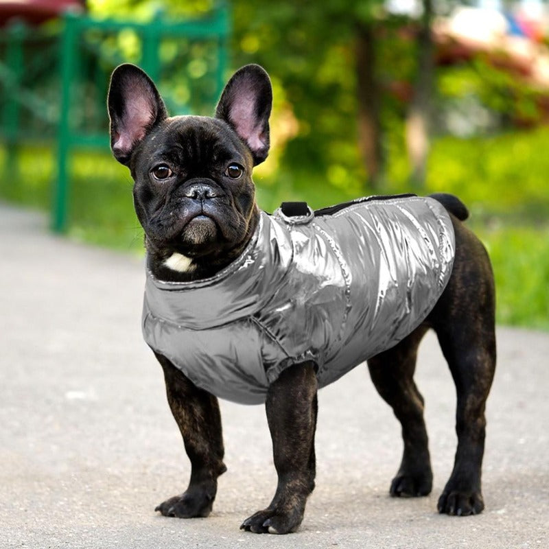 Chic Waterproof Puffer Dog Vest - Southlake Paws
