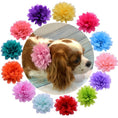 Load image into Gallery viewer, Floral Dog Collar Sliders - Southlake Paws
