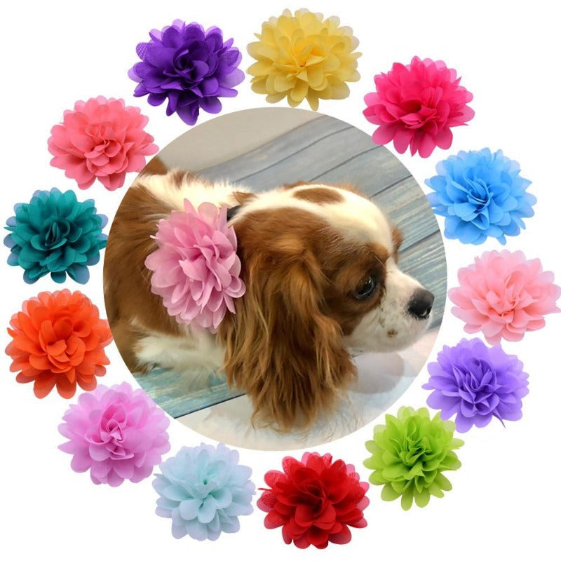Floral Dog Collar Sliders - Southlake Paws