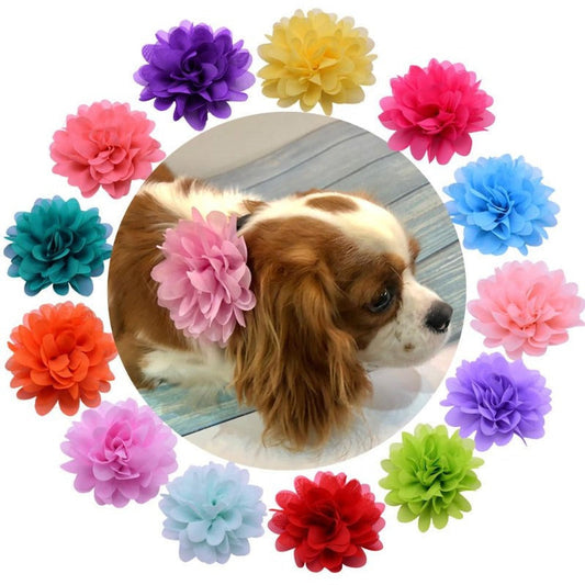 Floral Dog Collar Sliders - Southlake Paws