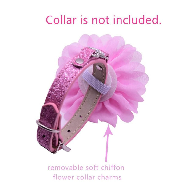 Floral Dog Collar Sliders - Southlake Paws