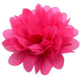 Load image into Gallery viewer, Floral Dog Collar Sliders - Southlake Paws
