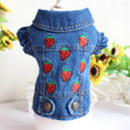 Load image into Gallery viewer, Sweet Strawberry Denim Jacket - Southlake Paws
