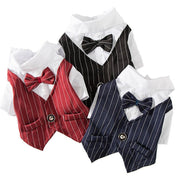 Pinstripe Dog Suit Vest Set