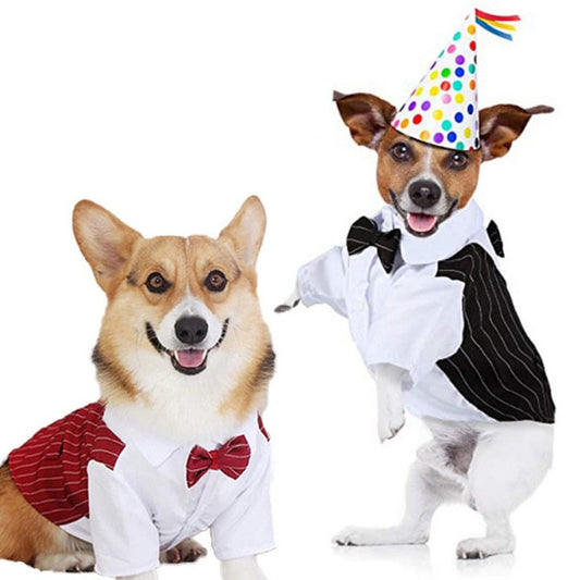 Pinstripe Dog Suit Vest Set - Southlake Paws