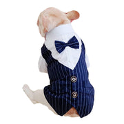 Pinstripe Dog Suit Vest Set