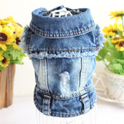 Frayed Denim Dog Jacket