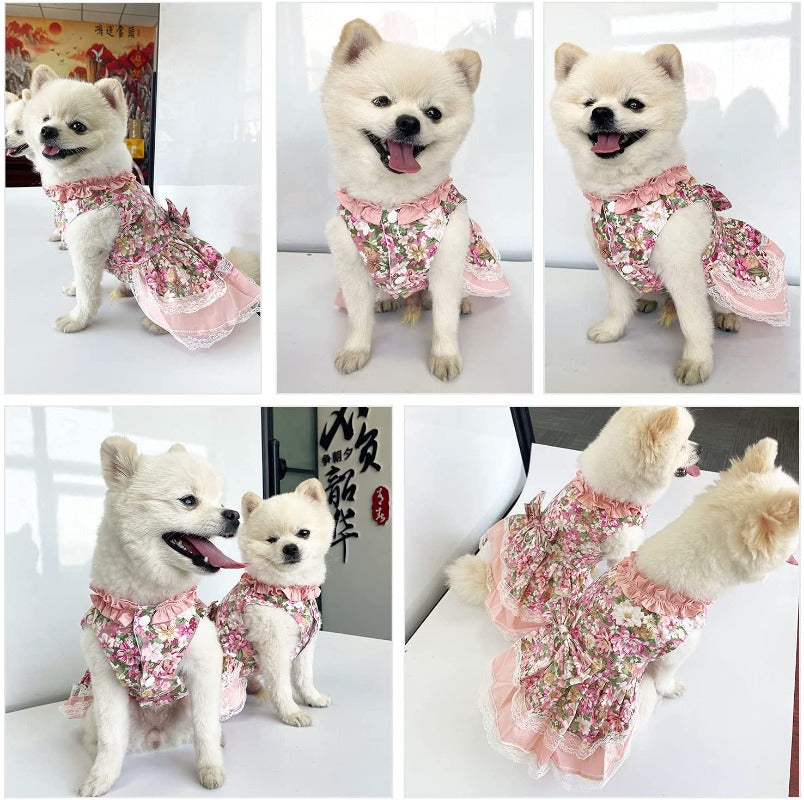 Vintage Rose Harness Dog Dress & Leash Set - Southlake Paws