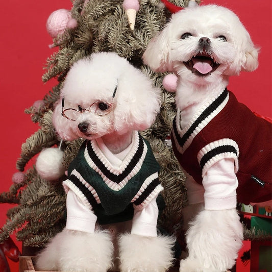 Preppy V-neck College Dog Sweater Pullover - Southlake Paws