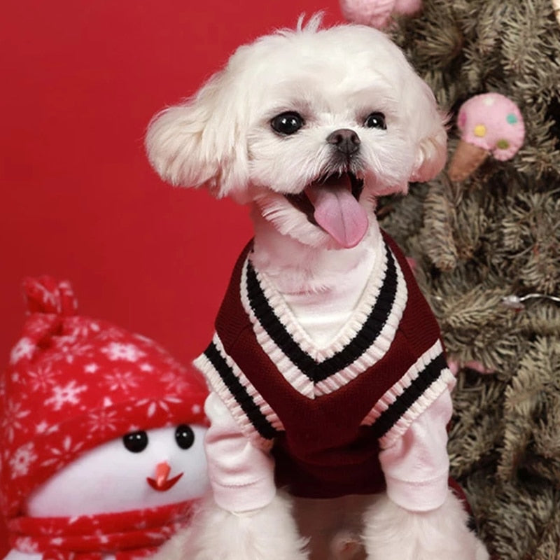 Preppy V-neck College Dog Sweater Pullover - Southlake Paws