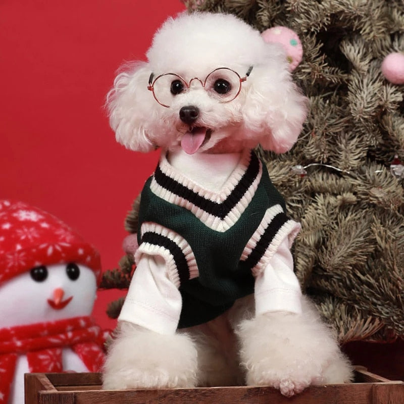 Preppy V-neck College Dog Sweater Pullover - Southlake Paws