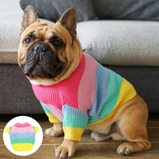 Rainbow Dog Sweater - Southlake Paws