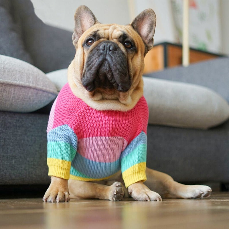 Rainbow Dog Sweater - Southlake Paws
