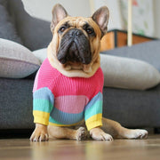 Rainbow Dog Sweater