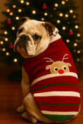 Load image into Gallery viewer, Parisian Pet 'Reindeer Sweater' for Dogs – Stylish & Cozy Christmas Sweater, Red
