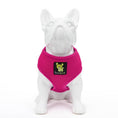 Load image into Gallery viewer, EcoBark Pink Dog Harness - Over-the-Head Soft Mesh Dog Vest Halter for Small to Medium Dogs and Puppies

