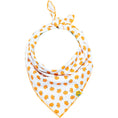 Load image into Gallery viewer, Tiny Pumpkins Bandana
