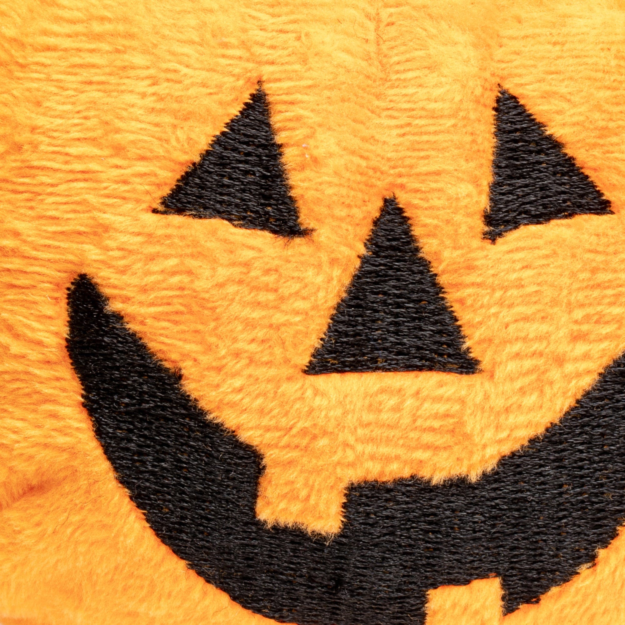 Pumpkin faball® - Southlake Paws