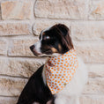 Load image into Gallery viewer, Tiny Pumpkins Bandana
