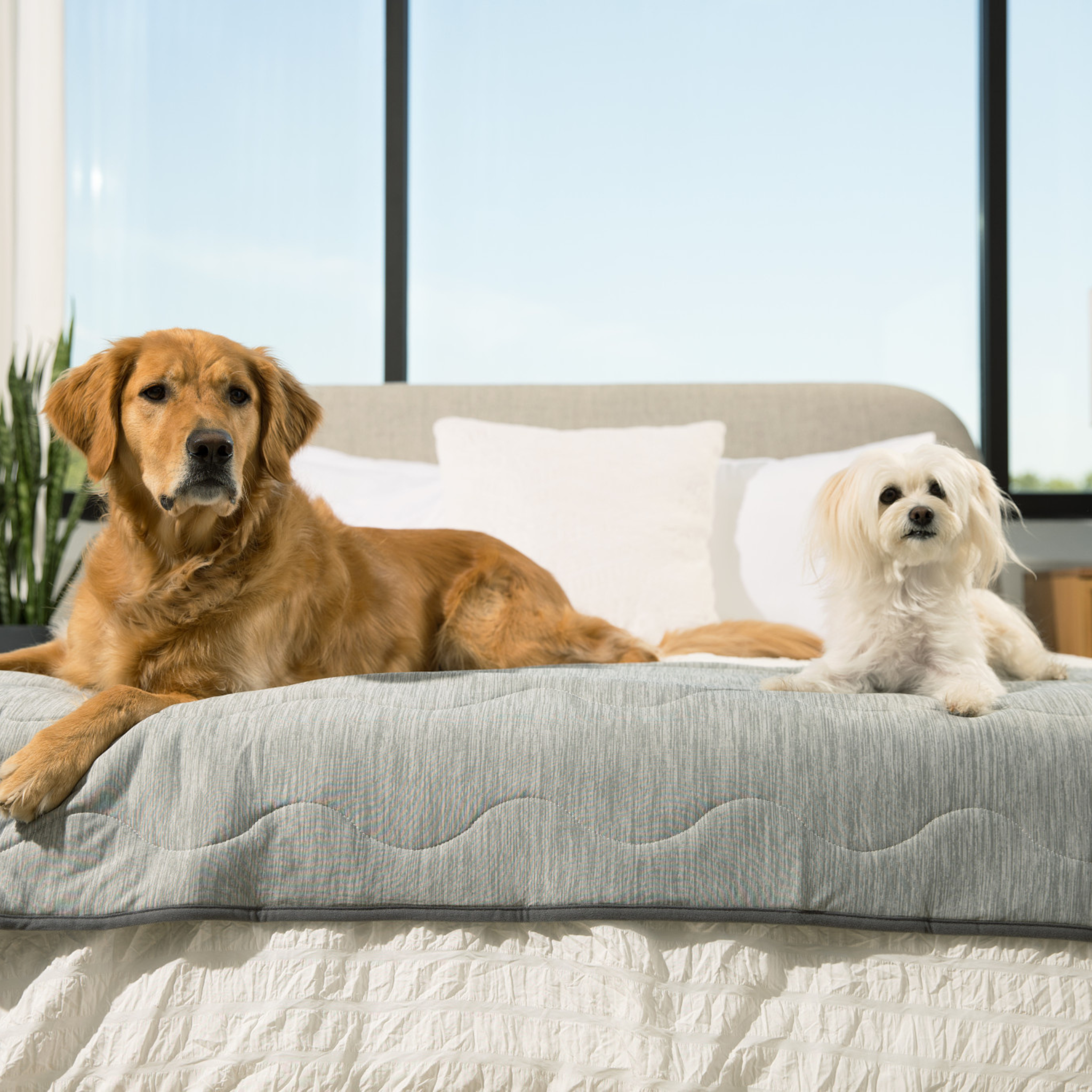 PupChill™ Cooling Waterproof Runner Blanket - Arctic Grey - Southlake Paws