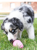 Load image into Gallery viewer, Puppy KONG Treat-Stuffing Chew Dog Toy
