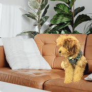 Frayed Denim Dog Jacket