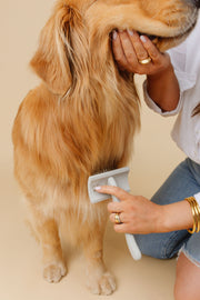 Everyday Slicker Brush 