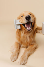 Everyday Slicker Brush 