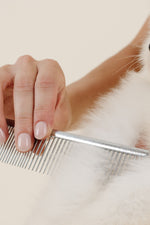 Pup Parent Essentials 