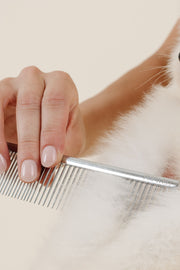 Pup Parent Essentials 