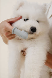 Puppy Breath Toothbrush 
