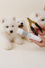 Iconic Nail Duo 