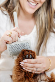 Everyday Slicker Brush 