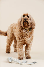 Pup Parent Essentials 