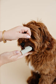 Puppy Breath Toothbrush 