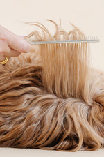 Pup Parent Essentials 