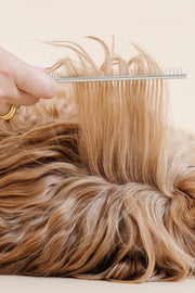 Pup Parent Essentials 