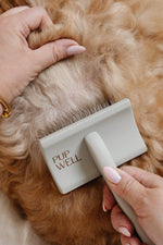 Ultimate Dog Grooming Kit
