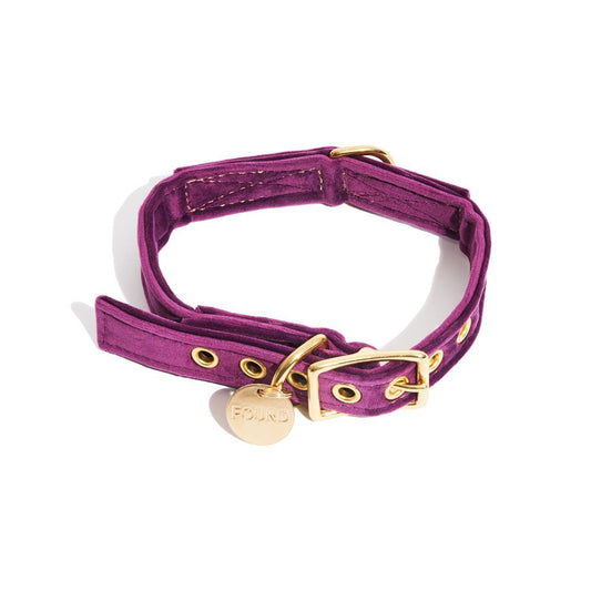 Dog Collars Premium Purple Washable Velvet Cat & Dog Collar