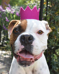 Load image into Gallery viewer, BRIGHT PARTY CROWNS
