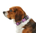 Load image into Gallery viewer, Dog Collar.
