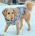 Load image into Gallery viewer, Purple Woodstock Dog Sweater
