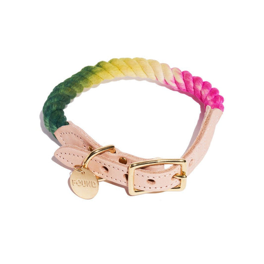 Dog Collars Premium Radish Ombre Cotton Rope Cat & Dog Collar