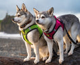 Load image into Gallery viewer, EcoBark Step In Dog Harness - XXXS to Small Breeds- Reflective Soft Mesh Harness for Teacup, Small Dogs and Puppies / Neon Green Sport
