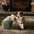 Load image into Gallery viewer, Dog sitting on a green pet bed in front of a fireplace

