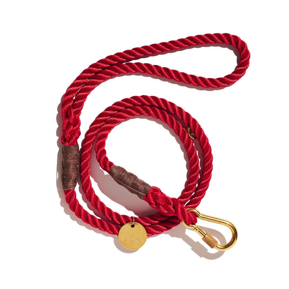 Standard 5ft Leads Premium Red Rope Leash, Standard