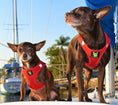 Load image into Gallery viewer, EcoBark Step In Dog Harness - XXXS to Small Breeds- Reflective Soft Mesh Harness for Teacup, Small Dogs and Puppies / Red
